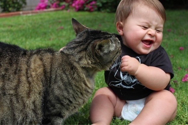 Les chats étudient notre comportement dès notre naissance afin d'apprendre à nous manipuler.