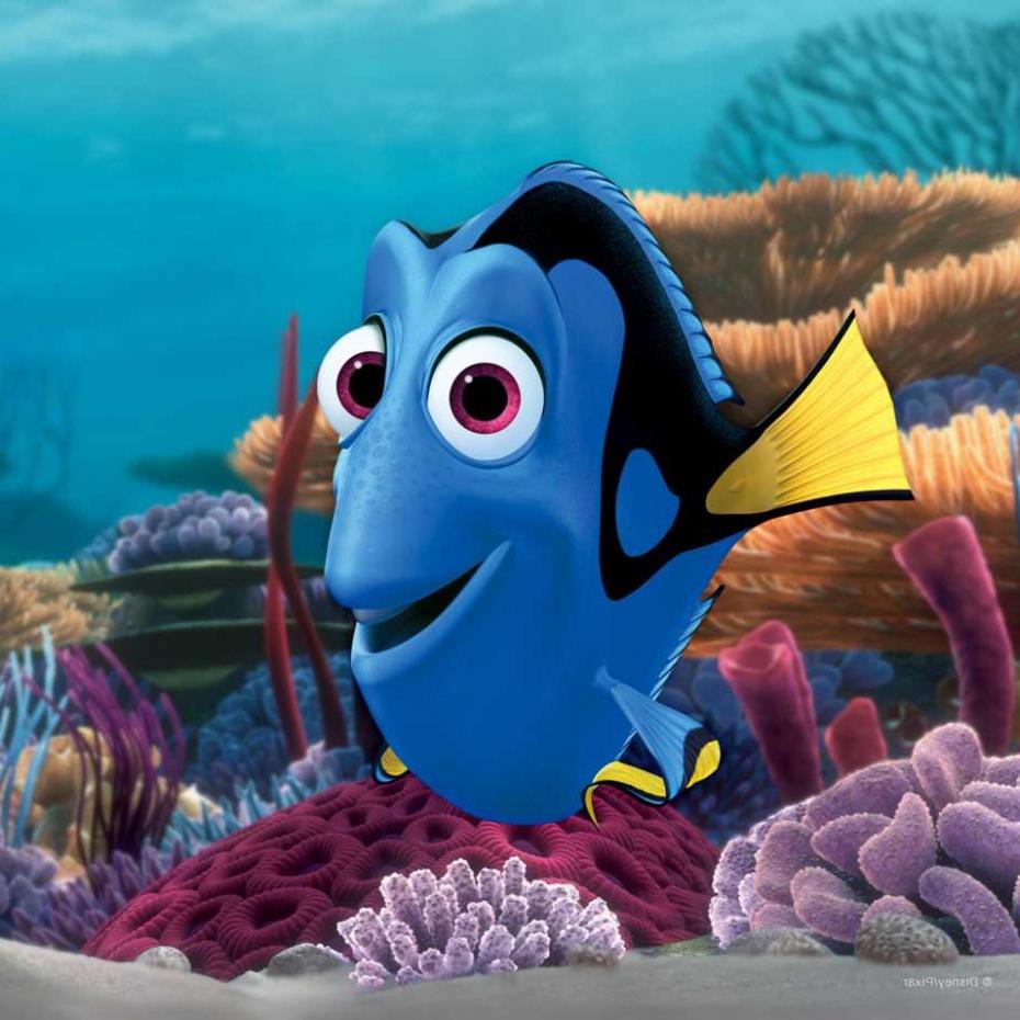 dory