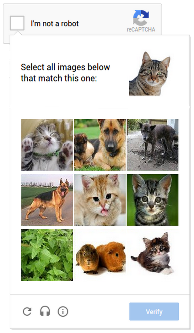 cat_captcha_google